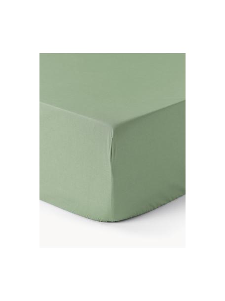 Lenzuolo con angoli in cotone percalle Elsie, Verde salvia, Larg. 140 x Lung. 200 cm, Alt. 25 cm