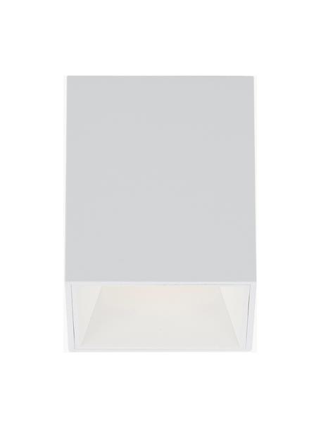 Faretto da soffitto a LED Marty, Baldacchino: metallo verniciato a polv, Bianco, Larg. 10 x Alt. 12 cm