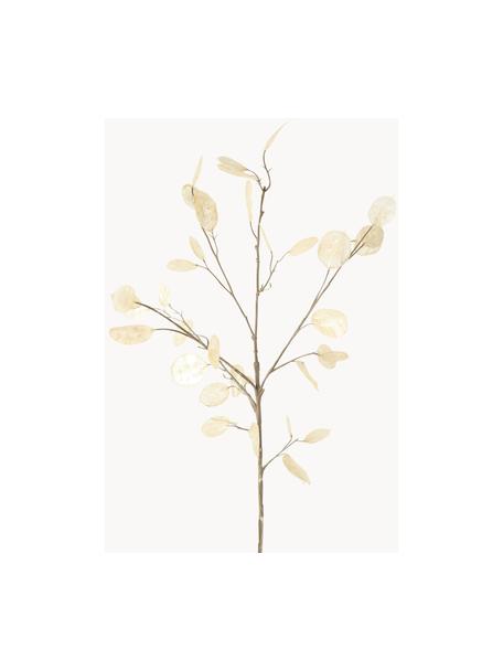 Ramo decorativo Laluna, Plastica, Tonalità beige, Lunghezza 91 cm