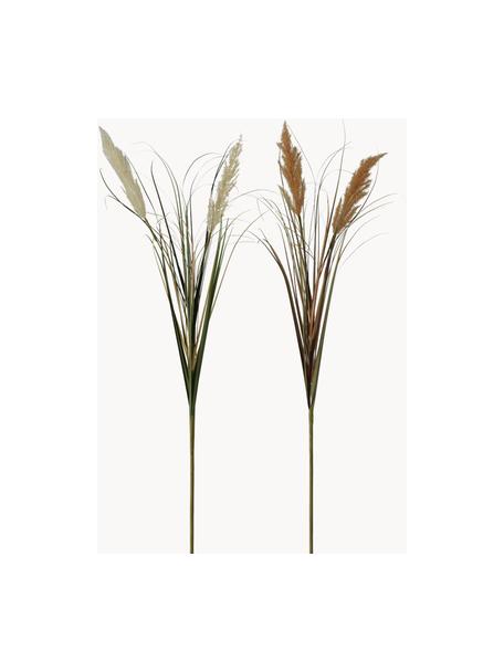 Fleurs artificielles Herbe de la Pampa, 2 élém., Plastique, Tons beiges, tons bruns, vert, long. 100 cm