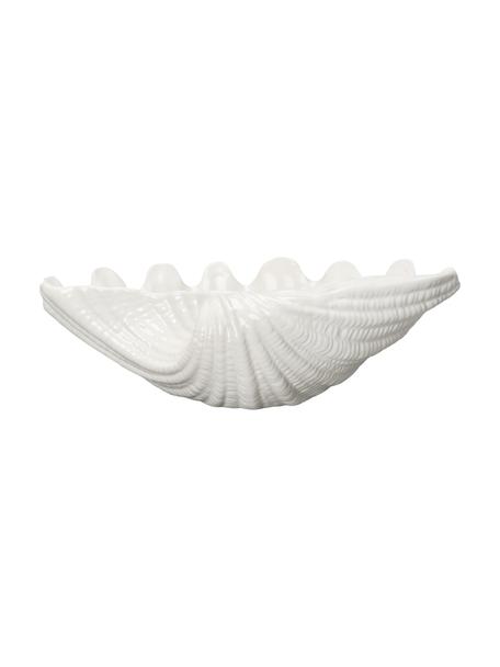Miska do serwowania z dolomitu Shell, Dolomit, Biały, S 34 x W 10 cm