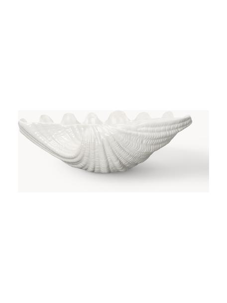 Serveerschaal Shell van dolomiet in schelp vorm, Dolomiet, Gebroken wit, B 34 x D 24 cm