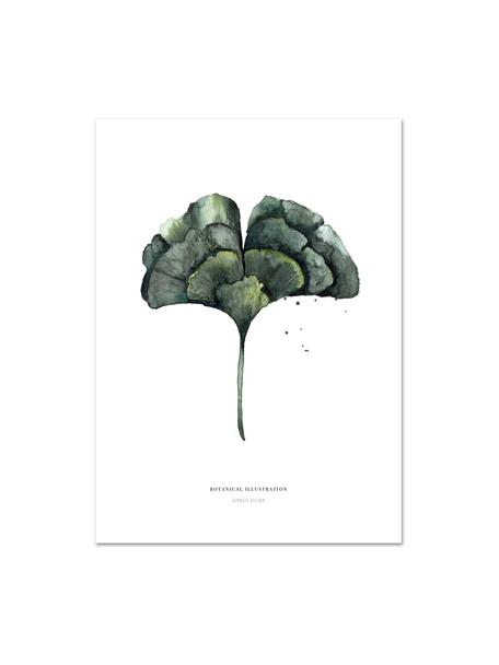 Poster Ginko, Impression numérique sur papier, 200 g/m², Blanc, vert, larg. 21 x haut. 30 cm