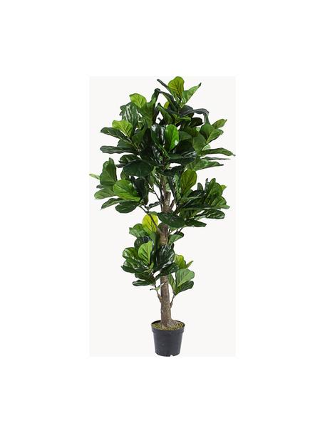 Kunstblume Ficus, H 190 cm, Kunststoff, Dunkelgrün, Ø 30 x H 190 cm