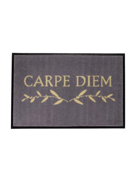 Paillasson lavable Carpe Diem, Gris, larg. 50 x long. 75 cm