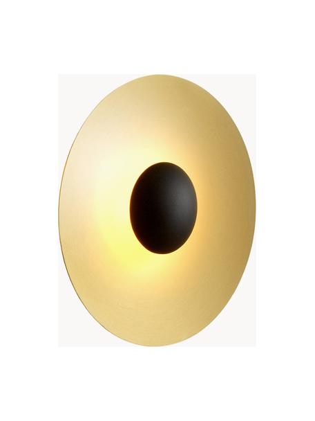 Dimmbare LED-Wandleuchte Ginger, verschiedene Größen, Aluminium, beschichtet, Goldfarben, Schwarz, Ø 20 x T 7 cm