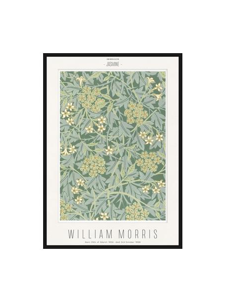Zarámovaný digitální tisk Jasmine - William Morris, Zelená, žlutá, černá, Š 52 cm, V 72 cm