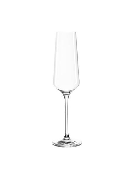 Flûtes à champagne moderne Puccini, 6 pièces, verre Teqton®, Transparent, Ø 7 x haut. 26 cm, 280 ml