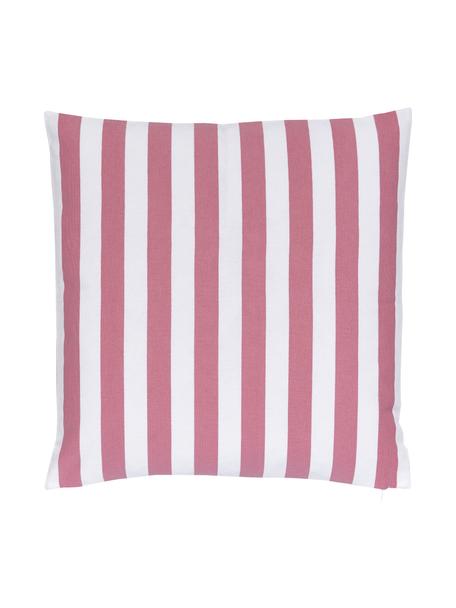 Federa arredo a righe color rosa/bianco Timon, 100% cotone, Rosa, bianco, Larg. 50 x Lung. 50 cm