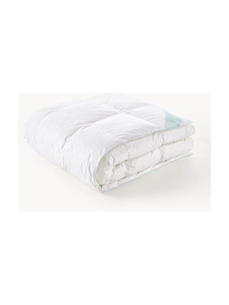 Donzen dekbed Comfort, extra licht, Extra licht, B 240 x L 220 cm