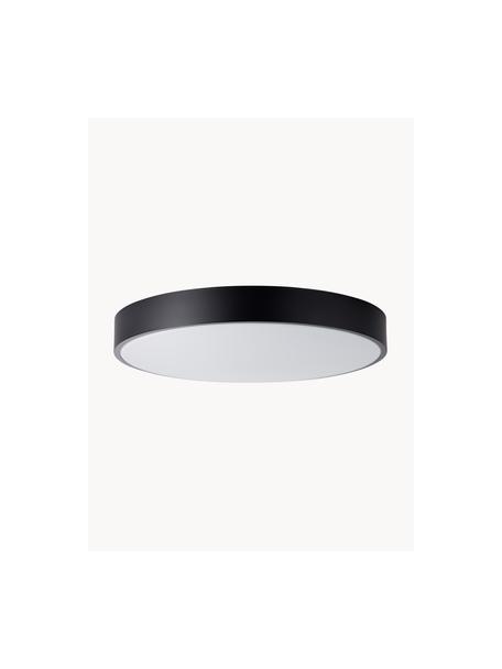 Plafón LED con difusor Slimline, Estructura: metal recubierto, Negro, blanco, Ø 49 x Al 9 cm