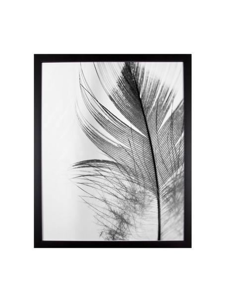 Zarámovaný digitální tisk Feather, Obraz: černá, bílá Rám: černá, Š 50 cm, V 70 cm