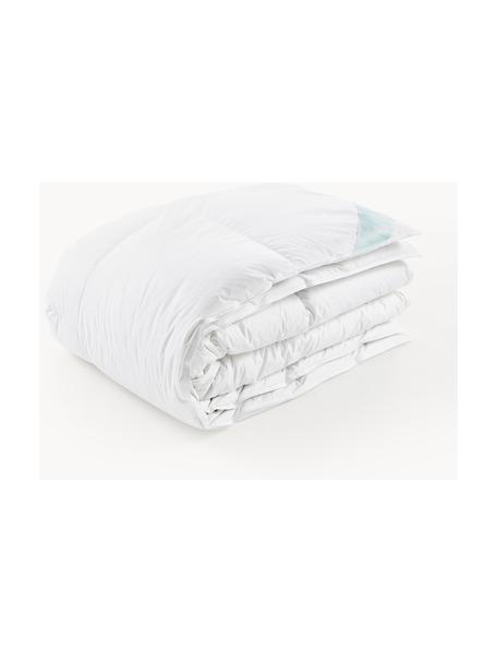 Donzen cassette-dekbed Comfort, warm, Warm, B 155 x L 220 cm