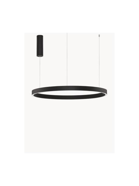 Grosse dimmbare LED-Pendelleuchte Elowen, in verschiedenen Grössen, Schwarz, Ø 80 x H 5 cm