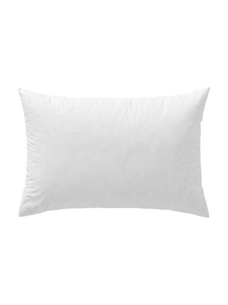 Dekokissen-Inlett Kudde, Bezug: 100 % Baumwolle, Weiß, B 40 x L 60 cm