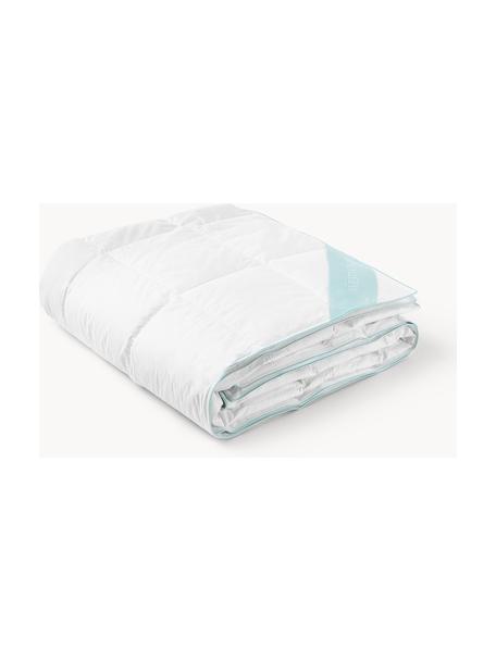 Couette pur duvet Premium, extra légère, Extra légère, larg. 240 x long. 220 cm