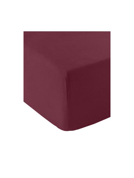 Drap-housse en flanelle pour sommier tapissier Biba, Pourpre, larg. 90 x long. 200 cm