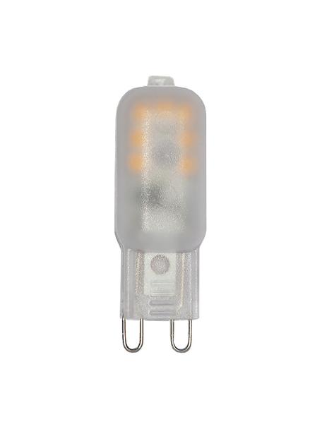 Bombillas G9, 110lm, regulable, blanco cálido, 3 uds., Ampolla: plástico, Casquillo: plástico, Blanco semitransparente, An 2 x Al 5 cm