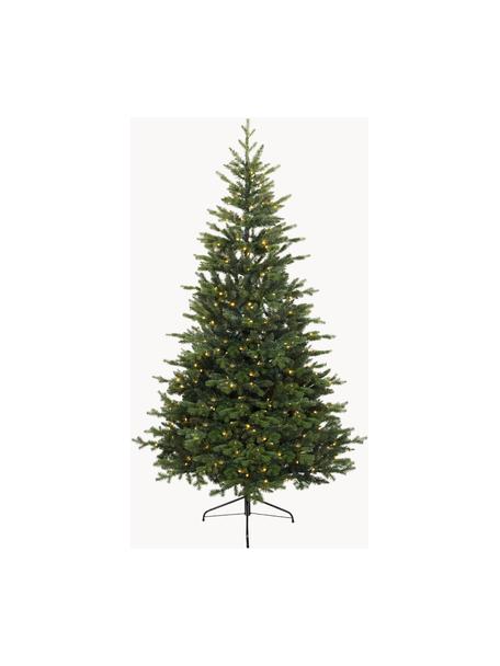 Sapin de Noël artificiel LED Allison, Vert, Ø 97 x haut. 150 cm
