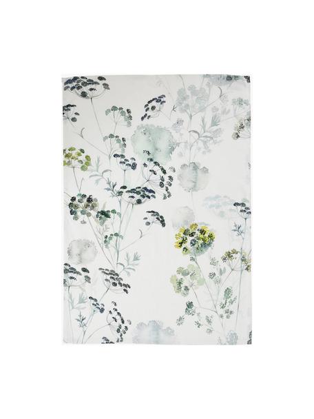 Strofinacci con stampa ad acquerello Herbier 2 pz, 100% cotone, Bianco, verde, Larg. 50 x Lung. 70 cm