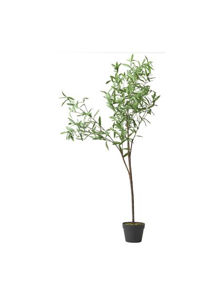Planta artificial con macetero Olive, Plástico, Verde, Al 154 cm