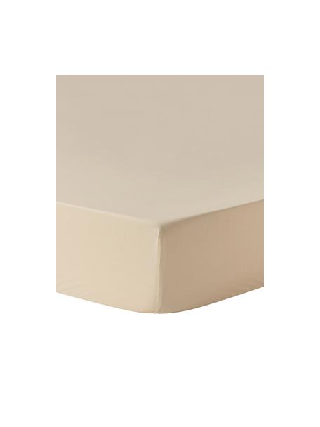 Lenzuolo con angoli topper in cotone percalle Elsie, Beige, Larg. 90 x Lung. 200 cm, Alt. 15 cm