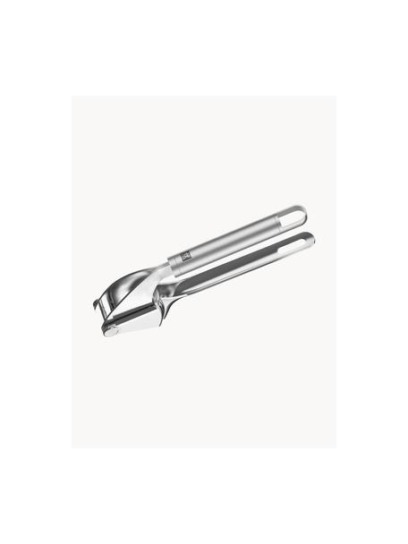 Presse-ail en acier inoxydable Pro, Acier inoxydable 18/10 , poli, Argenté, long. 20 cm