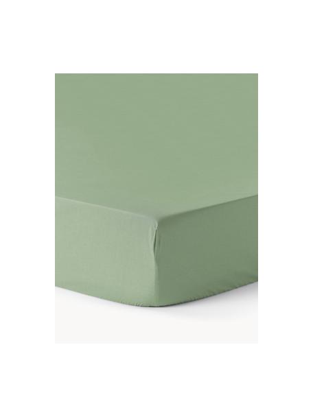 Lenzuolo con angoli topper in cotone percalle Elsie, Verde salvia, Larg. 200 x Lung. 200 cm, Alt. 15 cm