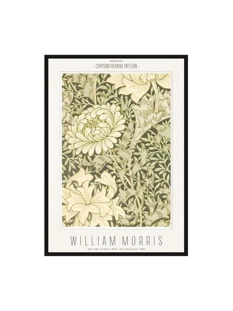 Stampa digitale incorniciata Chrysantemum - William Morris, Immagine: stampa digitale su carta, Struttura: legno, pannello di fibra , Beige, verde, Larg. 32 x Alt. 42 cm