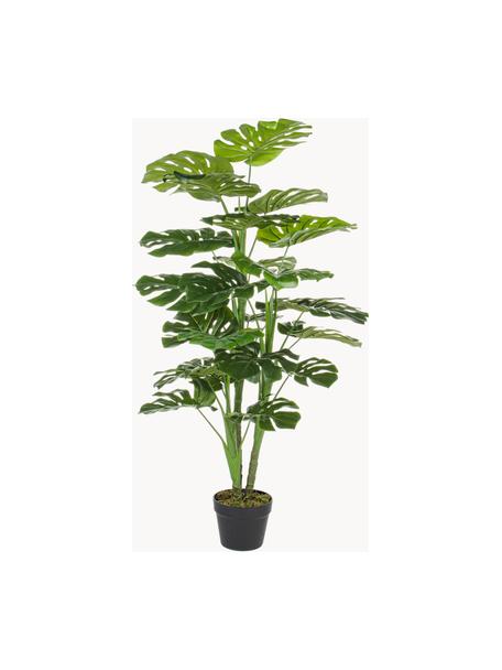 Kunstblume Philodendron, H 120 cm, Kunststoff, Dunkelgrün, Ø 60 x H 120 cm