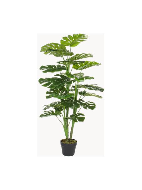 Planta artificial Philodendron, Plástico, Verde oscuro, Ø 60 x Al 120 cm