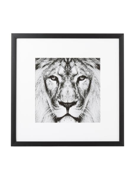 Gerahmter Digitaldruck Lion Close Up, Bild: Digitaldruck, Rahmen: Kunststoffrahmen mit Glas, Schwarz, Weiß, B 40 x H 40 cm