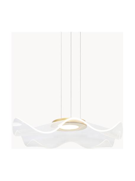 Lámpara de techo LED Velo, Pantalla: vidrio acrílico, Estructura: metal anodizado, Cable: plástico, Transparente, dorado, Ø 50 x Al 50 cm