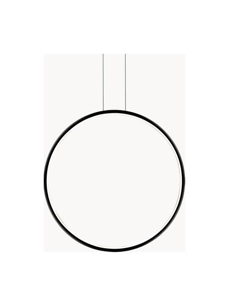 Große LED-Pendelleuchte Ring mit Diffusorscheibe, Lampenschirm: Silikon, Metall, pulverbe, Baldachin: Metall, pulverbeschichtet, Schwarz, Ø 80 x T 2 cm