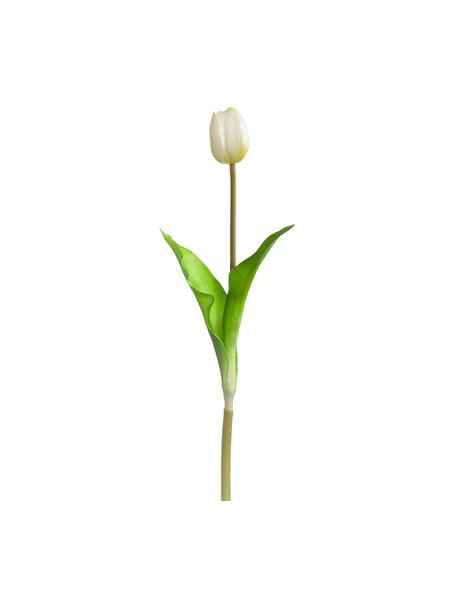 Tulipes artificielles Savona, 4 pièces, Plastique, Blanc, vert, brun, long. 36 cm