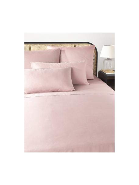 Drap plat en satin de coton Comfort, Rose, larg. 180 x long. 280 cm