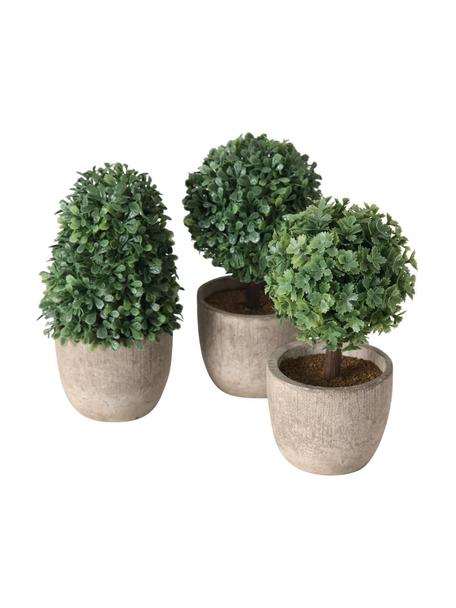 Set 3 piante artificiali in vaso Tracy, Plastica, Verde, grigio, Ø 7 x Alt. 14 cm