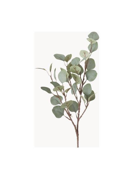 Branche décorative Eucalyptus, Plastique, Brun, vert sauge, long. 69 cm