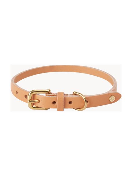 Haustier-Halsband Robin aus Leder, in verschiedenen Grössen, Verschluss: Messing, Peach, L 46 cm