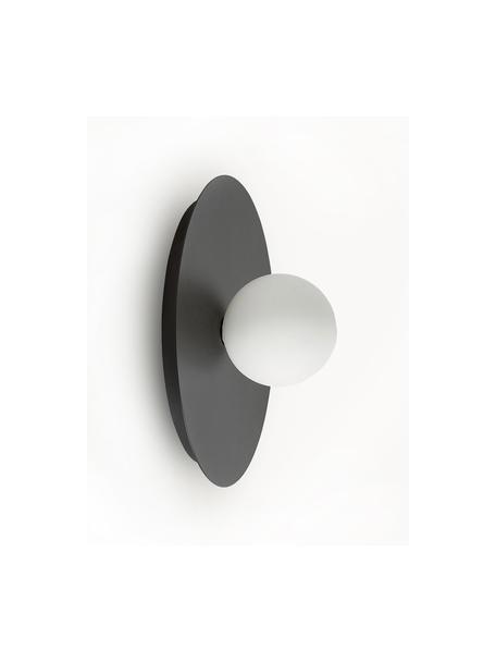 Nástěnné nebo stropní svítidlo Starling, Černá, bílá, Ø 33 cm, H 14 cm