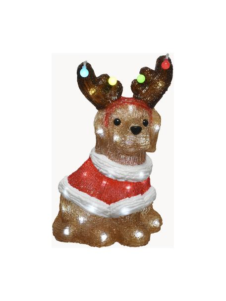 LED Leuchtobjekt Dog H 34 cm, mit Stecker, Kunststoff, Braun, Rot, Weiss, B 23 x H 34 cm
