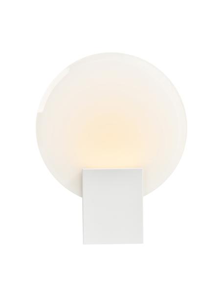 Dimmbare LED-Wandleuchte Hester in Weiss, Lampenschirm: Glas, Weiss, B 20 x H 26 cm