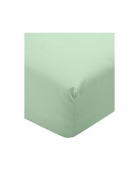 Sábana bajera de percal Elsie, Verde, Cama 90 cm (90 x 200 cm)