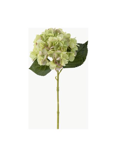 Kunstblume Hortensie, Kunststoff, Polyester, Metall, Grüntöne, L 36 cm