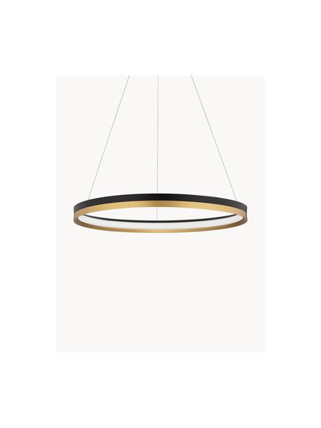 Große dimmbare LED-Pendelleuchte Mr John, Schwarz, Goldfarben, Ø 60 cm
