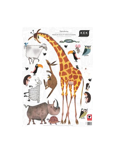 Set 20 adesivi murali Animals, Film vinilico autoadesivo, opaco, Multicolore, Larg. 42 x Alt. 59 cm