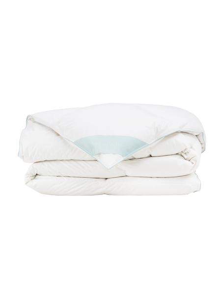 Donzen cassette-dekbed Comfort, warm, Warm, B 200 x L 200 cm