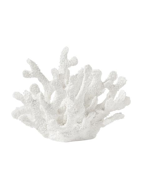 Designová dekorace Coral, Polyresin, Bílá, Š 22 cm, V 17 cm