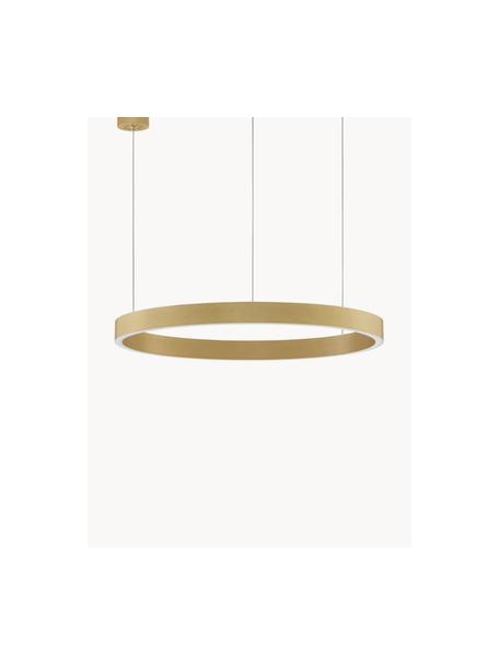 Lampada a sospensione grande a LED luce regolabile Elowen, varie misure, Dorato, Ø 60 x Alt. 5 cm