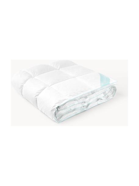 Couette matelassée pur duvet Premium, légère, Légère, larg. 140 x long. 200 cm